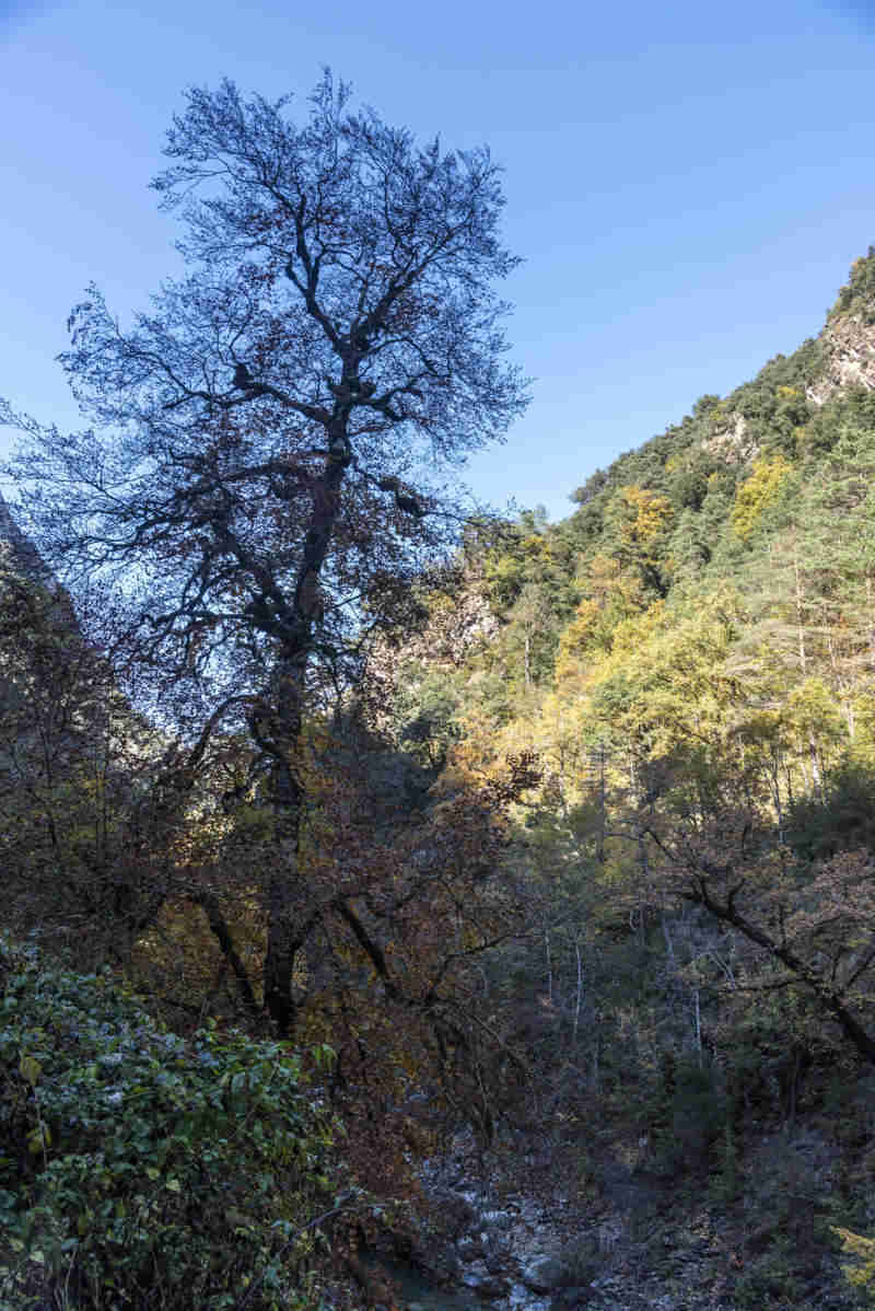 Huesca - parque nacional de Ordesa y Monte Perdido - valle de Añisclo 20 - cañon de Añisclo - desfiladero de las Cambras.jpg